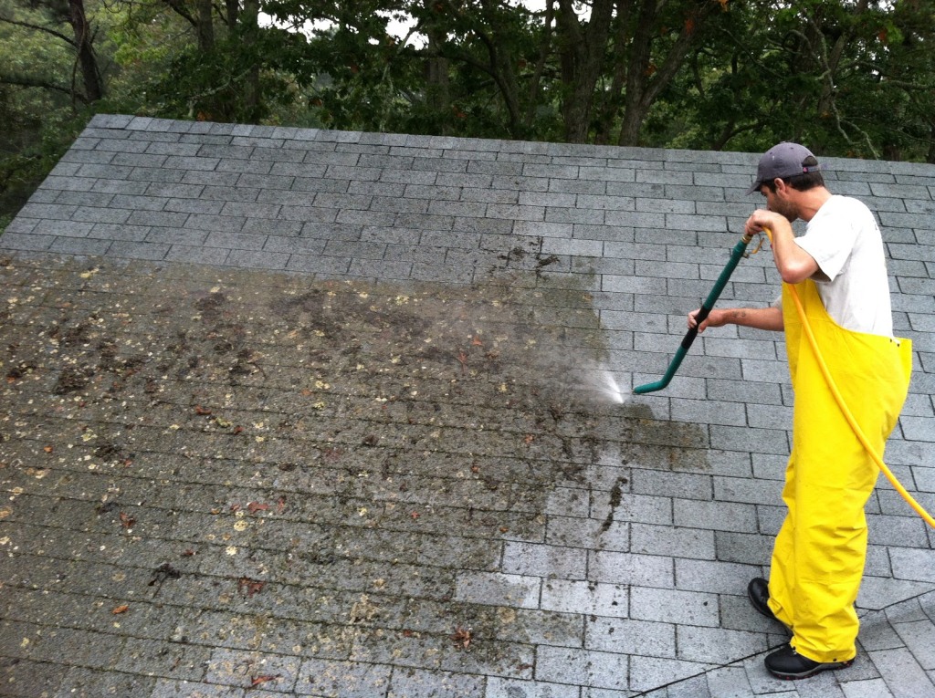 spray to kill moss on roof