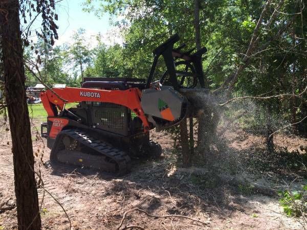 Land Clearing: Mulcher, Excavator, Dozer, Tree removal, gravel (903 ...