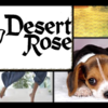 Desert Rose Carpet Cleaning