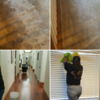 JCM Cleaning Services & Carpet Cleaning