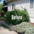 Photo #2: Best Landscaping, Tree Trimming, Weed Removal, Rototill, Rock Install