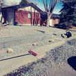 Photo #7: Best Landscaping, Tree Trimming, Weed Removal, Rototill, Rock Install