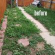 Photo #13: Best Landscaping, Tree Trimming, Weed Removal, Rototill, Rock Install