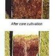 Photo #4: * FALL CORE LAWN AERATING*