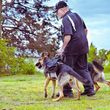 Photo #5: SARGE'S DOG TRAINING & REHABILITATION