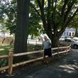 Photo #10: Need a Fence installed or Repaired "Let  Steve Do It "