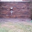 Photo #8: Masonry Brick block stone stucco tile concrete