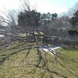 Photo #3: Leaf Blowing/Clean-up & Perennial Maintenance