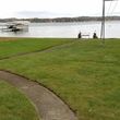 Photo #14: Leaf Blowing/Clean-up & Perennial Maintenance