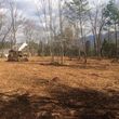 Photo #3: Forestry Mulching, Land Clearing