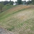 Photo #6: Forestry Mulching, Land Clearing