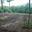 Photo #9: Forestry Mulching, Land Clearing