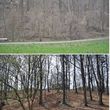 Photo #10: Forestry Mulching, Land Clearing