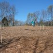 Photo #14: Forestry Mulching, Land Clearing