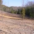 Photo #16: Forestry Mulching, Land Clearing