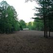 Photo #17: Forestry Mulching, Land Clearing