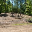 Photo #19: Forestry Mulching, Land Clearing