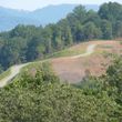 Photo #20: Forestry Mulching, Land Clearing