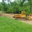 Photo #22: Forestry Mulching, Land Clearing