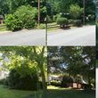 Photo #9: TOM'S LANDSCAPING PLUS TREE REMOVAL