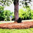 Photo #6: Landscaping Specialist (seeding, mulch, pine needles, shrubs & more.)