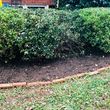 Photo #18: Landscaping Specialist (seeding, mulch, pine needles, shrubs & more.)