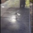 Photo #1: EPOXY EPOXY""""" (floors concrete restoration)