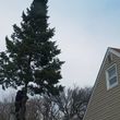 Photo #18: Barvosas's Tree service & landscaping