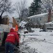 Photo #19: Barvosas's Tree service & landscaping