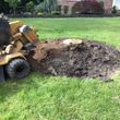 Photo #2: Tree Stump Grinding and fallen tree removal  Rockland County