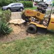 Photo #4: Tree Stump Grinding and fallen tree removal  Rockland County