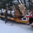 Photo #8:  Pro insured and sawmill