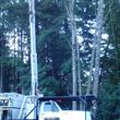 Photo #9: Full Circle Tree Service, LLC. 