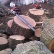 Photo #10: Full Circle Tree Service, LLC. 