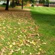 Photo #1: Fall cleanup