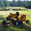 Photo #1: STUMP GRINDING