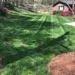 Photo #3: Custom Lawn Care