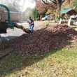 Photo #1: *TOP NOTCH* LEAF REMOVAL