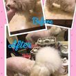 Photo #6: 🐩"Pampering Poochie Grooming Boutique"🐾