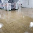 Photo #11: _______ MILWAUKEE CONCRETE POLISHING - FLOOR REPAIR - EPOXY COATINGS