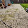 Photo #2: Pressure washing and lawn care