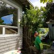 Photo #6: Kula's Tree Pruning & Storm Clean-up Specialists!