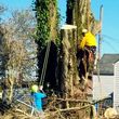 Photo #4: ☆ I'm In! Tree Services LIC/BOND/INS Free Estimates ☆