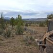 Photo #8: Excavation, Brush Mowing, Manure Removal