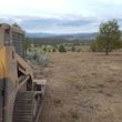 Photo #9: Excavation, Brush Mowing, Manure Removal