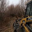 Photo #11: Excavation, Brush Mowing, Manure Removal