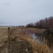 Photo #13: Excavation, Brush Mowing, Manure Removal