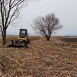 Photo #15: Excavation, Brush Mowing, Manure Removal