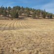 Photo #19: Excavation, Brush Mowing, Manure Removal