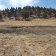 Photo #20: Excavation, Brush Mowing, Manure Removal